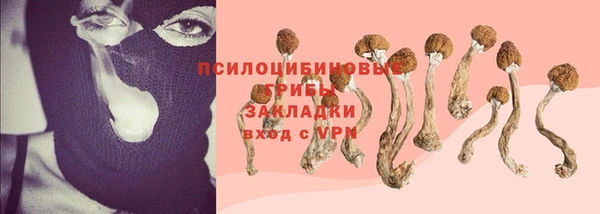 jwh Белокуриха