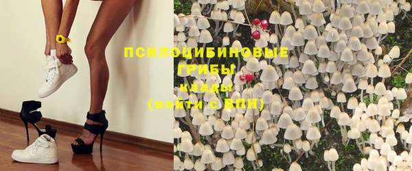 гидропоника Белоозёрский