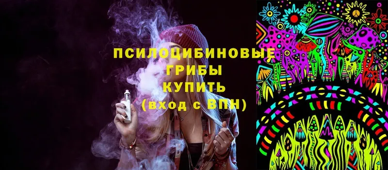 Галлюциногенные грибы Magic Shrooms  Заречный 