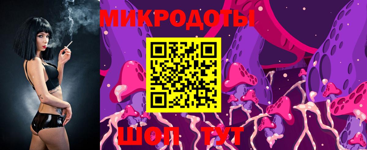 Псилоцибиновые грибы Cubensis Заречный